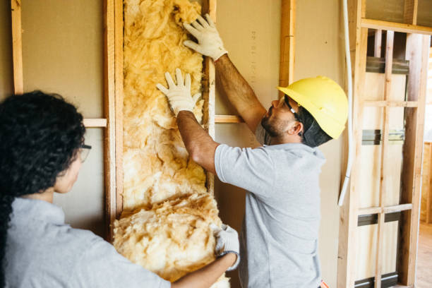 Insulation Repair Services in Inwood, FL