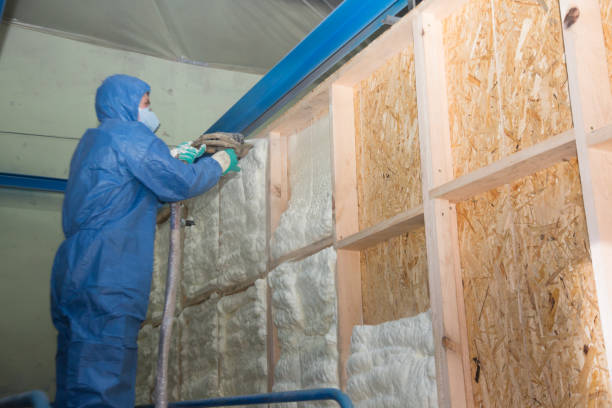 Best Insulation Repair Services  in Inwood, FL